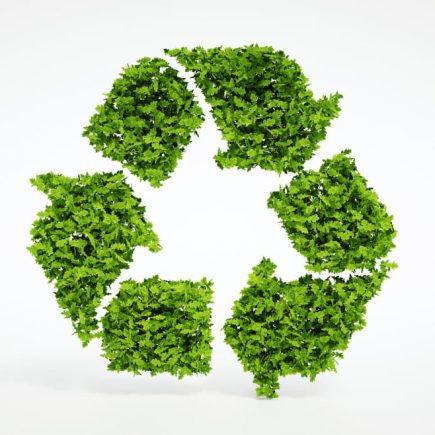 Embalagem reciclada: vantagens de utilizá-la