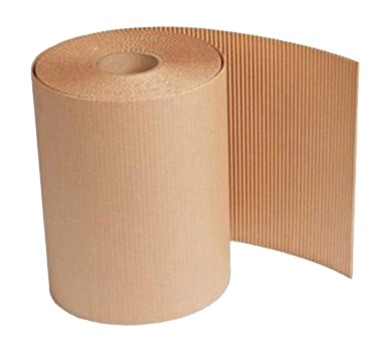 Papelão